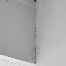 Commercial-Pressure-Washing-of-Apartments-in-Orlando-FL 3